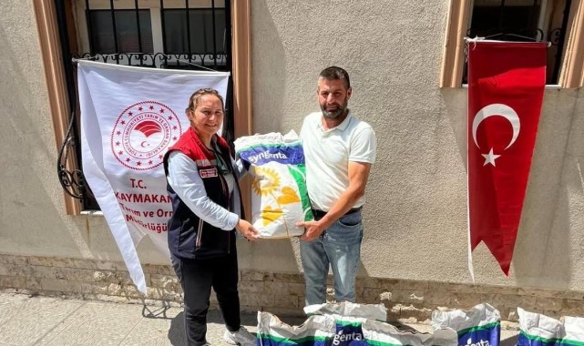 36 üreticiye ayçiçeği tohumu desteği