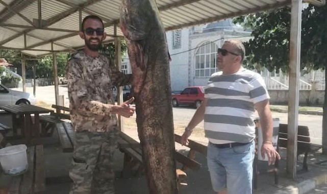 80 kilogramlık yayın balığı yakaladı