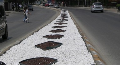“Edirne’yi taşla değil ağaçla, toprakla, çiçekle güzelleştirelim”
