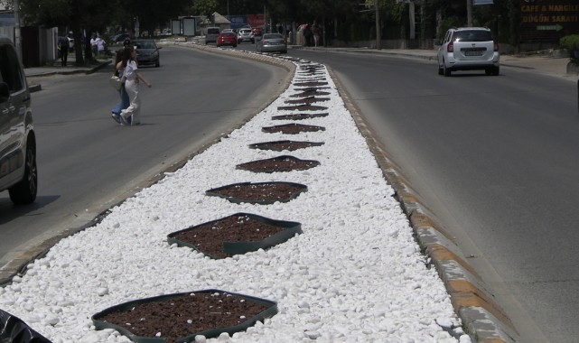 “Edirne’yi taşla değil ağaçla, toprakla, çiçekle güzelleştirelim”