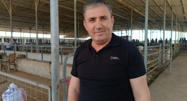 “Her bütçeye uygun kurbanlık var”