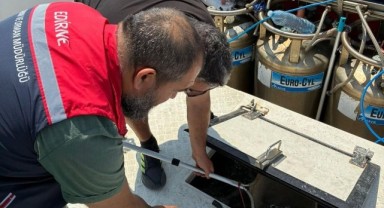 İhraç edilecek balıklara sıkı denetim