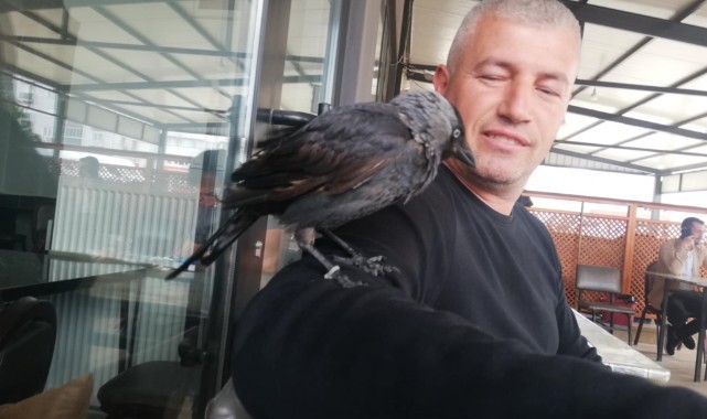 Karga herkesin gönlünü fethetti