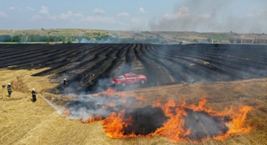 Yangınlarda 2 bin 750 dekar ekili alan zarar gördü