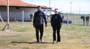 Belçika'dan gelen çift, devlet desteğiyle besiciliğe başladı
