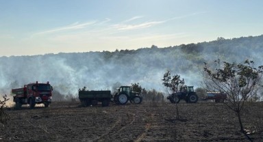 Biçerdöverde başlayıp ormanlık alana sıçrayan yangın söndürüldü