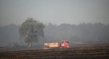 Edirne'de çıkan orman yangını söndürüldü