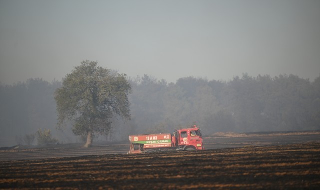 Edirne'de çıkan orman yangını söndürüldü