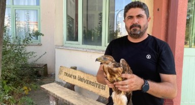 Sıcaklarda bitkin düşen yaban hayvanlarına tedavi