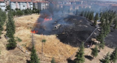 Suni gölet yangınında yürekler ağza geldi
