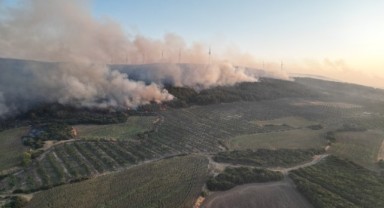 Tekirdağ'da çıkan orman yangını Çanakkale'ye sıçradı