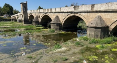 Tunca Nehri bataklığa döndü