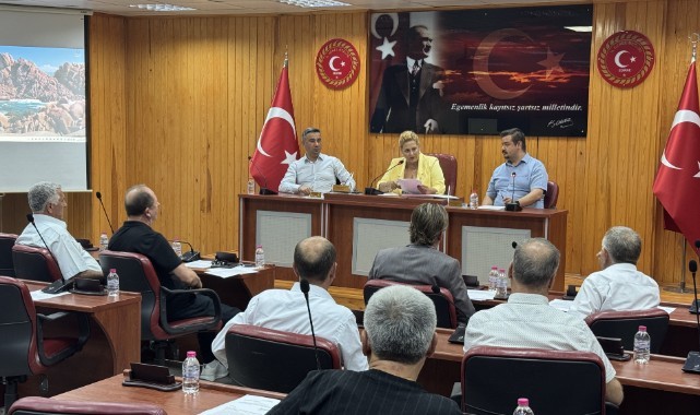 2 bin 860 sahipsiz köpek barınağa ulaştırıldı