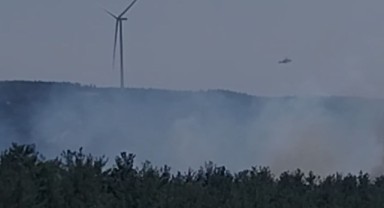 Çanakkale’de orman yangını, alevler yaşam alanına ilerliyor