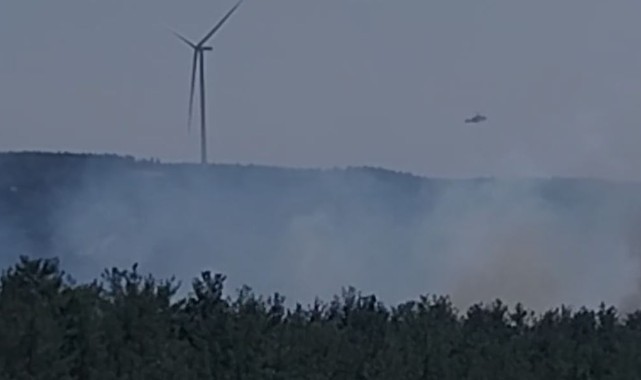 Çanakkale’de orman yangını, alevler yaşam alanına ilerliyor
