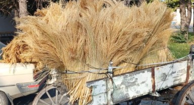 Elçili Köyü’nden ilk ürün borsada alıcıyla buluştu