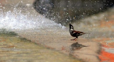 Eyyam-ı Bahur sıcakları geliyor