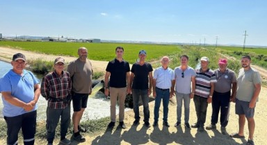 İpsala’da çeltik tarlalarında verimli hasat beklentisi