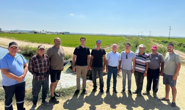 İpsala’da çeltik tarlalarında verimli hasat beklentisi
