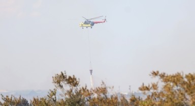 Kırklareli'nde ağaçlık alanda çıkan yangın söndürüldü