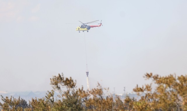 Kırklareli'nde ağaçlık alanda çıkan yangın söndürüldü