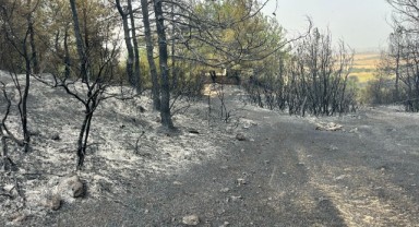 Yangın ekiplerin müdahalesiyle söndürüldü