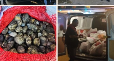 Kum midyesi kaçakçılarına 2 milyon para cezası