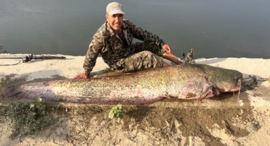 Meriç Nehri’nde dev yayın balığı yakalandı