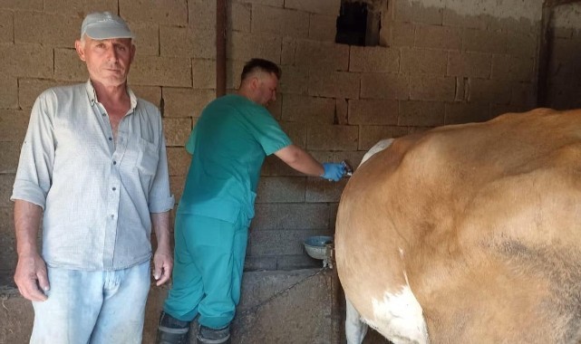 Şap hastalığına karşı etkin mücadele