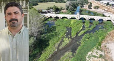 Tunca'da kuraklıkla beraber artan sazlık alanlar kuş türlerine yuva oldu