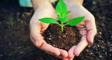 “Aile Yılı” ve “Yeşil Vatan” temaları Öğretmenler Günü’nde ön planda