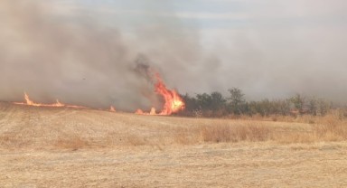 Anızda çıkıp ağaçlık alana sıçrayan yangın söndürüldü