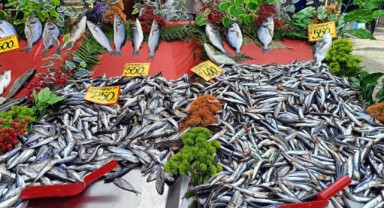 Balık Sezonu Açıldı, Edirne Balıkpazarı’nda Yoğunluk Başladı