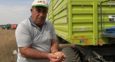 Çiftçiler “Beyaz Altın” Mesaisinde