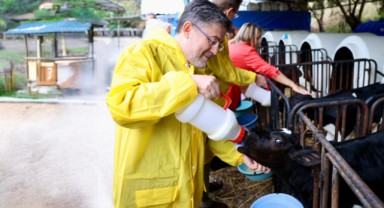 Çoban desteği yüzde 125 artırıldı