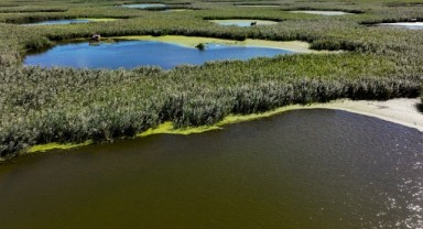 Göl Baba sulak alanı adeta vahayı andırıyor