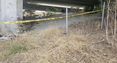 Köprü ayağına çarpan otomobilin sürücüsü hayatını kaybetti