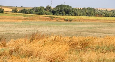 Kuraklıkla mücadele için göletlerin sayısının artırılması önerisi