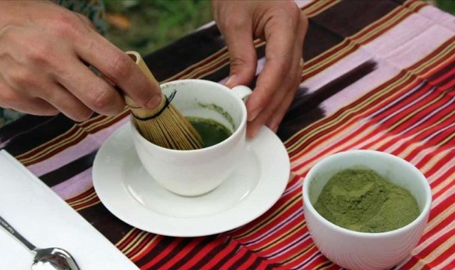 Matcha Çayı şifa kaynağı mı ?