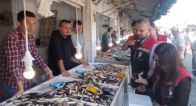 Su Ürünleri İşletmelerine Denetim