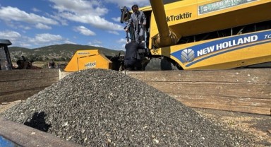 Trakya’dan Türkiye’ye: milli ayçiçeği tohumu 20 ilde üretimde