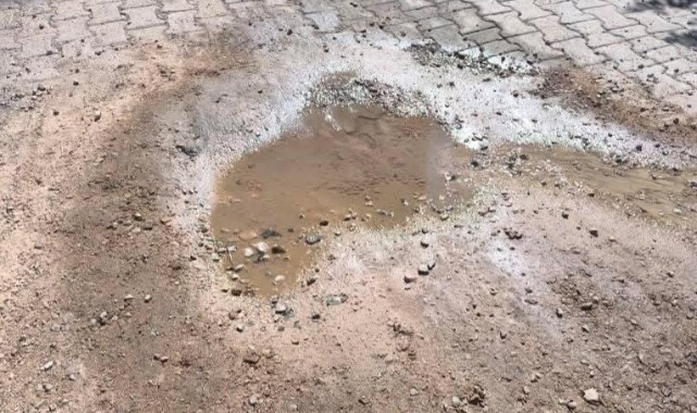 Vatandaş isyan etti: