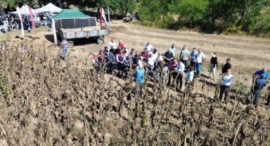 Yerli ve Milli Hibrit Ayçiçeği’ne Sakarya’da Tarla Günü