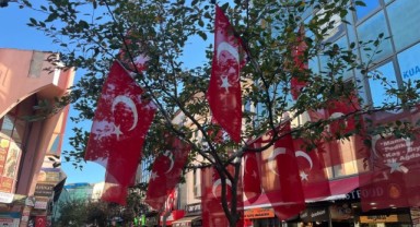 Bayraklı ağaç vatandaşların ilgi odağı oldu