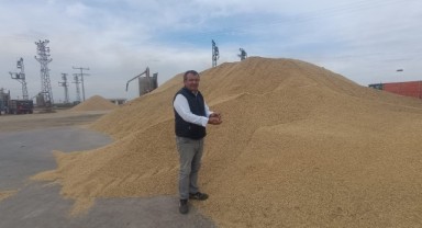 Çeltik üreticileri yerli tohumla yüksek verim elde etti