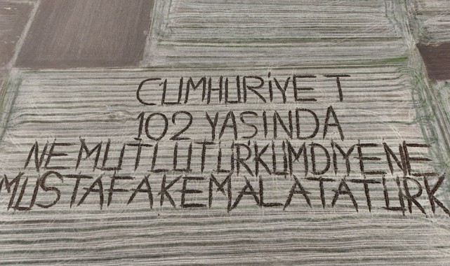 Çiftçi tarlasına pullukla