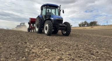 Çok sayıda üretici kanolaya yöneldi