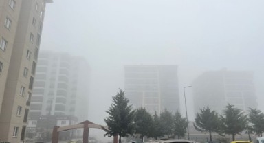 Edirne’de sis etkili oldu