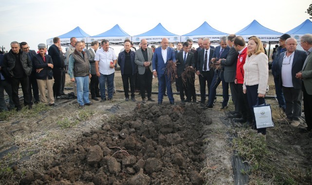 Edirne kırmızısı yeniden toprakla buluştu: yüzyıllık efsane renkte yeni dönem
