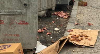 Edirne’nin kalbinde utandıran görüntüler
